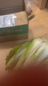 【冬儲菜】新鮮龍牙白菜大白菜無(wú)筋無(wú)絲開(kāi)鍋爛火鍋必備 3斤含箱 曬單實(shí)拍圖