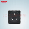 同為（TOWE）防雷防浪涌插頭電源轉換器插座防雷器保護開(kāi)關(guān)AP-1010S 曬單實(shí)拍圖