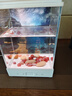 方寸秘境二代月光桌面魚(yú)缸辦公室客廳家用小型熱帶魚(yú)缸雪山微景觀(guān)生態(tài)造景 經(jīng)典款 曬單實(shí)拍圖