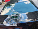 龜牌（Turtle Wax）極限蠟黑白色用蠟汽車(chē)蠟通用養護拋光鍍膜去污劃痕車(chē)蠟300g 2060 曬單實(shí)拍圖