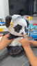 babycare熊貓安撫玩偶睡眠手偶阿貝貝嬰兒寶寶睡覺(jué)毛絨玩具新生兒見(jiàn)面禮盒 曬單實(shí)拍圖