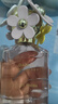 莫杰（MARC JACOBS）小雛菊花語(yǔ)女士MJ Daisy小雛菊夢(mèng)境摯愛(ài)香水送女友禮物 清甜小雛菊花語(yǔ)女士75ml 淡香水 曬單實(shí)拍圖