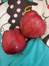 秦悅仙果鮮花牛蘋(píng)果甘肅天水粉面蘋(píng)果水果禮盒次日達+美國蛇果孕婦寶寶輔食 精品果王5斤丨單果85mm+順豐速發(fā) 曬單實(shí)拍圖