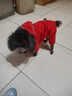 灌湘鳥(niǎo)狗狗羽絨棉服四腳寵物衣服秋冬款加厚保暖小鹿犬小型犬小狗絨棉衣 紅色【運動(dòng)】 XL【建議9-12斤】 曬單實(shí)拍圖