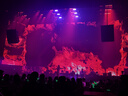 李寧護(hù)臂運動護(hù)肘男籃球羽毛球網(wǎng)球健身肘關(guān)節(jié)胳膊手肘手臂臥推護(hù)套 曬單實拍圖