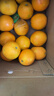 庾豐 江西贛南臍橙新鮮橙子  新鮮水果整箱孕婦手剝橙 當季現摘贛州橙 10斤裝-凈果9斤 單果110-220g 源頭產(chǎn)地直發(fā) 品質(zhì)甄選 曬單實(shí)拍圖