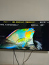 飛利浦（PHILIPS）50英寸4K超高清智慧全面屏 高頻調(diào)光護眼 遠場AI語音智能液晶平板電視機50PUF7590/T3 國家補貼15% 曬單實拍圖