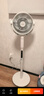東芝（TOSHIBA）【風(fēng)待月】空氣循環(huán)扇電風(fēng)扇直流變頻落地扇負離子凈化電風(fēng)扇靜音臥室超靜音一級能效DSB700XCN(Y) 曬單實(shí)拍圖