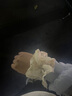 趙露思同款復古大腸發(fā)圈女扎頭發(fā)繩百搭蕾絲花邊頭繩橡皮筋發(fā)飾女 米色花邊發(fā)圈 曬單實(shí)拍圖