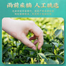 茶馬世家綠茶 新茶春茶一級恩施硒茶高山云霧茶濃香型袋裝茶葉500g 曬單實(shí)拍圖