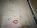 好奇（Huggies）軟萌星人柯基拉拉褲XXXL24(17kg以上)尿不濕【軟糯貼貼】 曬單實(shí)拍圖