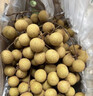 正宗瀘州新鮮張壩桂圓晚熟老品種桂圓龍眼現摘現發(fā)新鮮水果 5斤 瀘州正宗老樹(shù)桂圓大果 曬單實(shí)拍圖