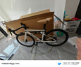 喜德盛公路自行車(chē)2025款AD300油碟UCI車(chē)架2x10速中空一體牙盤(pán)桶軸破風(fēng)車(chē) 白蛇 480mm 曬單實(shí)拍圖