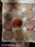 綠農俠陜西洛川蘋(píng)果紅富士新鮮水果整箱批發(fā)冰糖心脆甜大果 脆甜|正宗洛川紅富士蘋(píng)果 【精選】4.5斤中果75-80mm實(shí)惠裝 曬單實(shí)拍圖