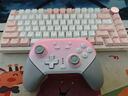 蓋世小雞（GAMESIR）超新星無(wú)線(xiàn)游戲手柄帶底座 適用switch2手機PC安卓Steam電腦NS2pro電視體感藍牙有線(xiàn)粉色絲之歌 曬單實(shí)拍圖