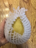 京鮮生山東煙臺萊陽(yáng)秋月梨凈重3斤單果250g+ 新鮮水果 源頭直發(fā)包郵 曬單實(shí)拍圖