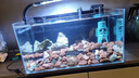 AMTRA TECHNIK德國安彩壁掛過(guò)濾器ex450魚(yú)缸過(guò)濾器龜缸低水位 EX450 標準款【內含濾材】 曬單實(shí)拍圖