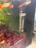JCZS德國品牌魚(yú)缸加熱棒保溫自動(dòng)迷你加熱器小型養魚(yú)養龜恒溫加熱器水恒溫節能加熱棒25.W 曬單實(shí)拍圖