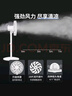 先鋒(SingFun)家用電風(fēng)扇落地扇米白風(fēng)扇節(jié)能宿舍小風(fēng)扇臺地扇空氣循環(huán)扇靜音大風(fēng)量風(fēng)扇DLD-D17 曬單實(shí)拍圖