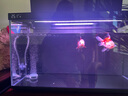 當貝智能生態(tài)魚(yú)缸1Ultra 一體缸自循環(huán)桌面魚(yú)缸+HIDOM增氧泵套餐 曬單實(shí)拍圖