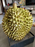 潤鮮培正宗泰國金枕頭榴蓮新鮮一整個(gè)帶殼當季水果自然樹(shù)熟大果2-10斤 A級果 4-5斤 曬單實(shí)拍圖