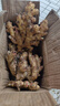 產(chǎn)地直發(fā)云南小黃姜新鮮生姜黃姜調味料新鮮蔬菜生鮮 3斤 裝 曬單實(shí)拍圖