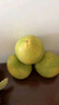 京鮮生浙江玉環(huán)文旦柚 2粒裝4.5-5斤 老樹(shù)精選 源頭直發(fā)包郵 曬單實(shí)拍圖