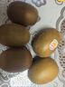 佳沛（zespri）新西蘭  陽(yáng)光金果25-27粒原箱單果122-146g  中秋水果禮盒 獼猴桃 曬單實(shí)拍圖