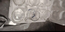 青蘋(píng)果耐熱玻璃杯6只裝 高硼硅玻璃可加熱圍爐煮茶帶把水杯泡茶杯牛奶杯 曬單實(shí)拍圖