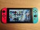 Dsheng適用任天堂Switch電池全新3DS電板new3DSLL更換NS手柄2DSX主機lite Switch電池+螺絲刀撬棒 曬單實(shí)拍圖