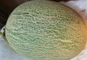 京鮮生 哈密瓜西州蜜25號 凈重6-7斤1-2粒裝 中秋禮品源頭直發(fā)包郵 曬單實(shí)拍圖