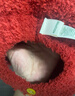 Kocotreekk樹(shù)嬰兒帽子防風(fēng)保暖男女孩嬰童套頭帽卡通造型護(hù)耳 曬單實(shí)拍圖