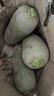 粵迎水果蘿卜甜脆水果型正宗蘿卜脆甜微辣青蘿卜新鮮生吃蘸醬水果蘿卜 9斤精選果【脆甜多汁】?jì)?.5斤 曬單實(shí)拍圖