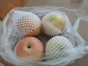 【熱銷(xiāo)】紅富士蘋(píng)果新鮮水果孕婦精品優(yōu)質(zhì)大果生鮮禮盒包郵脆甜 凈重1斤【70-75mm】 曬單實(shí)拍圖