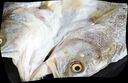 GUO LIAN國聯(lián)水產(chǎn) 三去海鱸魚(yú)3條/凈重2.4斤 海鮮魚(yú)類(lèi)水產(chǎn)生鮮源頭直發(fā) 曬單實(shí)拍圖