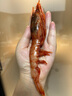 仁豪水產(chǎn) 北極甜蝦刺身凈重2斤 90-120只/盒 即食冰蝦 日料食材 家庭聚餐 曬單實(shí)拍圖