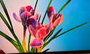 AOC 愛(ài)攻27英寸 2304區9216顆燈珠MiniLED 4K 160Hz雙模320Hz 1ms HDR1400 10bit電競顯示器AG275UXM2 曬單實(shí)拍圖
