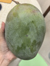 京鮮生 攀枝花凱特芒果 凈重4.5斤 單果300g+ 生鮮水果源頭直發(fā) 曬單實(shí)拍圖