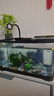 闊庭魚(yú)缸懶人魚(yú)缸家用客廳辦公室金魚(yú)缸過(guò)濾魚(yú)缸黑色款 曬單實(shí)拍圖