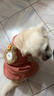 阿莫爾狗狗衣服秋冬裝可愛(ài)背帶褲棉衣寵物貓咪小型犬冬季加絨保暖四腳衣 小兔四腳衣 XL【建議10-14斤 具體參考胸圍背長(cháng)】 具體參考胸圍背長(cháng) 曬單實(shí)拍圖