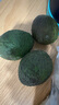 正宗進(jìn)口秘魯哈斯牛油果孕婦水果寶寶輔食進(jìn)口鱷梨整箱批發(fā)價(jià) 6個(gè)裝 單果重100-130克 曬單實(shí)拍圖