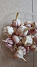 京東紫白皮新鮮濕蒜大蒜現挖蔬菜調料燒烤食材火鍋食材 新鮮濕蒜3斤裝 1500g 果徑【4-5cm] 曬單實(shí)拍圖