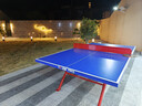 雙魚(yú)（DOUBLE FISH） 室外乒乓球臺球桌標準專(zhuān)業(yè)乒乓球臺家用戶(hù)外防水防曬乒乓球案子 318E 室外球桌 抗老化臺面 曬單實(shí)拍圖