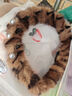爸爸的選擇（Daddy's Choice）Daddy's Choice極薄2.0拉拉褲4XL34片(≥20kg)大號(hào) 曬單實(shí)拍圖