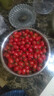 新鮮千禧圣女果小番茄現摘現發(fā)多汁水果適合孕婦食用 5斤 曬單實(shí)拍圖