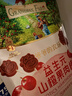 爺爺的農場(chǎng) 益生元山楂棒寶寶兒童零食0添加 兒童零食3歲-6歲出行便攜72g   曬單實(shí)拍圖