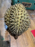 【保4房肉】A級進(jìn)口金枕鮮榴蓮1粒2-2.5kg(M) 曬單實(shí)拍圖