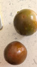 【順豐】丹東鐵皮柿子新鮮當季堿地自然熟西紅柿綠腚草莓柿子整箱 凈重5斤【鮮美口感】A+精選 曬單實(shí)拍圖