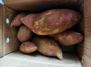 領(lǐng)麥鮮紅薯  山東新鮮板栗薯生鮮地瓜粉糯香甜黃心濟薯26號農場(chǎng)直發(fā) 中大果（單果重3兩以上） 凈重4.5斤 曬單實(shí)拍圖