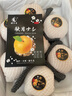 兄盟鮮果秋月梨千玥冰糖雪梨脆甜新鮮水果禮盒7-10個(gè)裝 曬單實(shí)拍圖